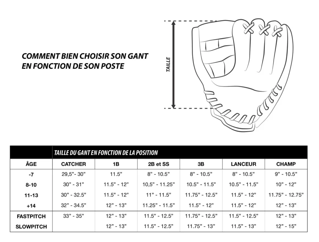 Guide Tailles de Gants baseball